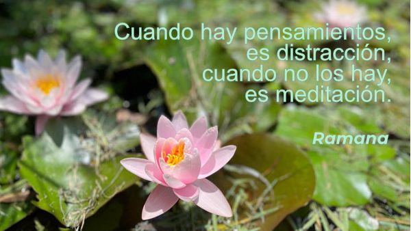 alm26042912