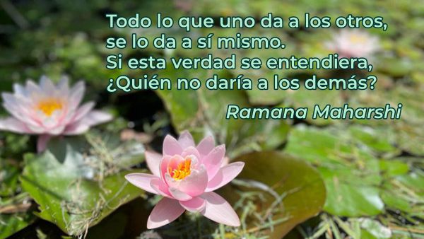 alm2609048
